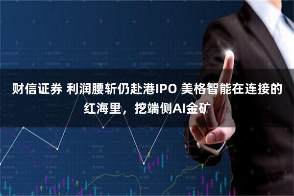 财信证券 利润腰斩仍赴港IPO 美格智能在连接的红海里，挖端侧AI金矿